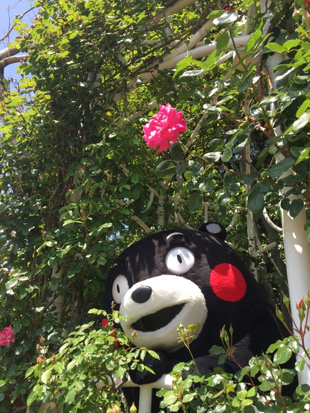 なばなの里 094.JPG